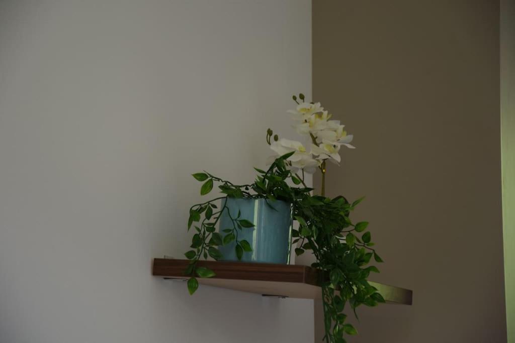 Apartamento Elegant T2 A Bron, Tramway A 2Min, Box Parking, 4Personnes Exterior foto